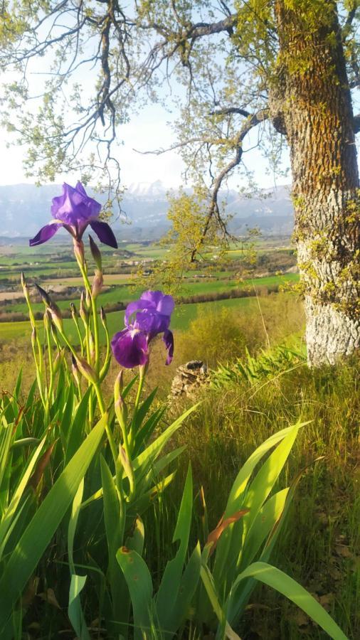 Casa Rural Tejedor Morillo de Monclus ภายนอก รูปภาพ